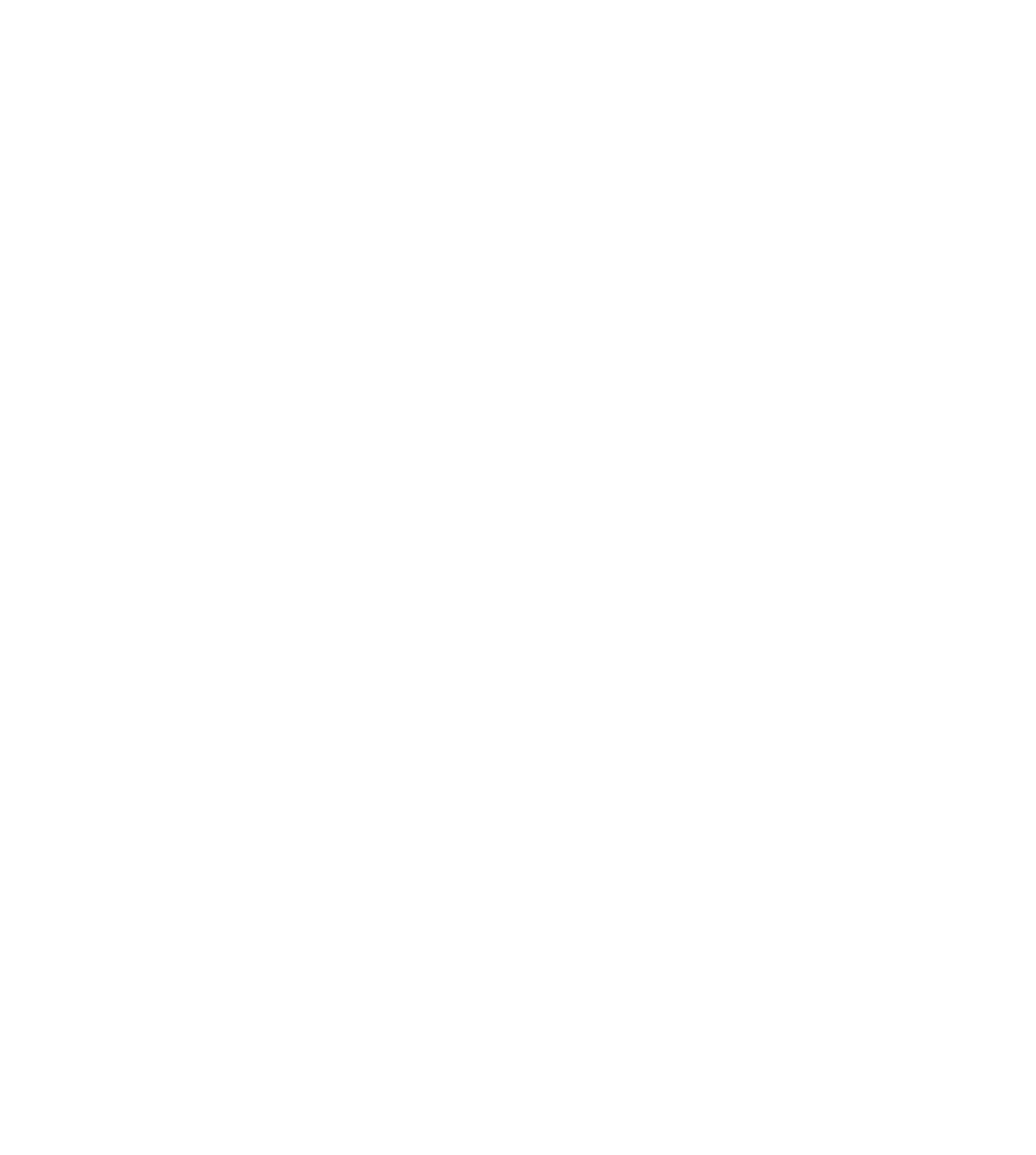 logo black bear